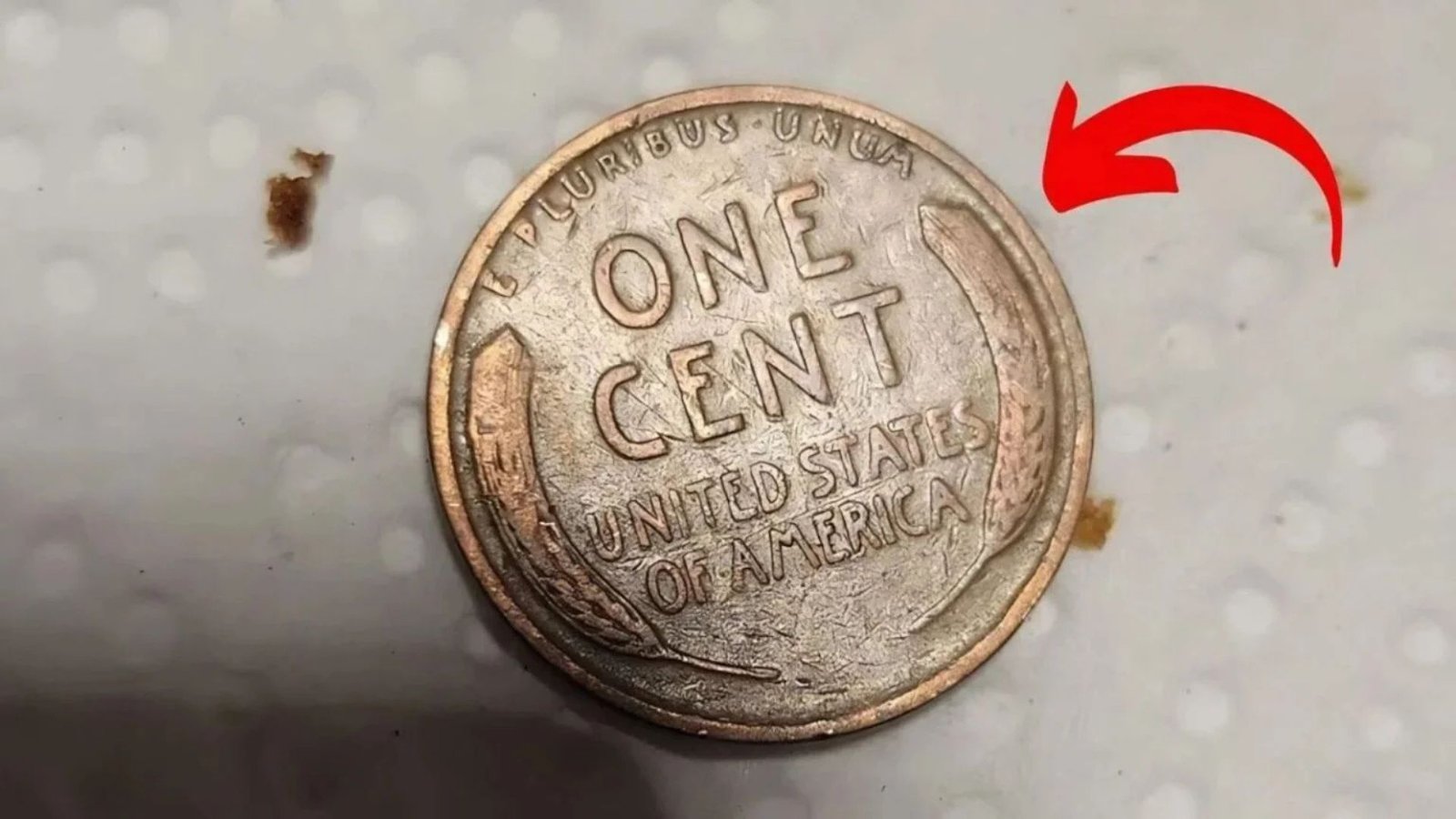 Could Your Lincoln Wheat Penny Be Worth Millions